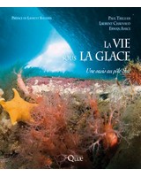  La vie sous la glace  - Une oasis au p�le Sud